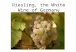 Riesling, the White Wine of Germany. The Noblest Grapes of the World 1.Chardonnay 2.Riesling 3.Pinot Noir 4.Merlot 5.Cabernet Sauvignon