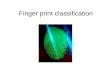 Finger print classification. What is a fingerprint? Finger skin is made of friction ridges, with pores (sweat glands). Friction ridges are created during