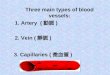 Three main types of blood vessels: 1. Artery ( 動脈 ) 2. Vein ( 靜脈 ) 3. Capillaries ( 微血管 )