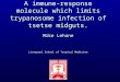 A immune-response molecule which limits trypanosome infection of tsetse midguts. Mike Lehane Liverpool School of Tropical Medicine