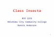 1 Class Insecta BIO 2215 Oklahoma City Community College Dennis Anderson