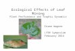 Ecological Effects of Leaf Mining Plant Performance and Trophic Dynamics Diane Wagner LTER Symposium February 2014