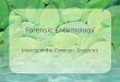 Forensic Entomology Insects in the Forensic Sciences
