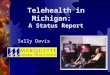 Telehealth in Michigan: A Status Report Sally Davis