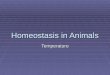Homeostasis in Animals Temperature. Processes of Heat Transfer  Radiation = heat transfer through waves of energy  Conduction = direct transfer of heat