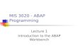 MIS 3020 - ABAP Programming Lecture 1 Introduction to the ABAP Workbench