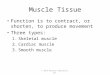 © 2015 Pearson Education, Inc. Muscle Tissue Function is to contract, or shorten, to produce movement Three types: 1.Skeletal muscle 2.Cardiac muscle 3.Smooth