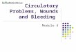 Circulatory Problems, Wounds and Bleeding Module 4