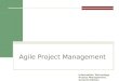 Agile Project Management Information Technology Project Management, Seventh Edition