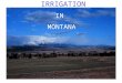 IRRIGATION IN MONTANA MOST SYSTEMS IN PLACE FOR MANY YEARS