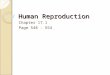 Human Reproduction Chapter 17.1 Page 548 - 554. Objectives Describe the path that sperm cells take through the male reproductive system Identify the organs