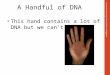 A Handful of DNA This hand contains a lot of DNA but we can’t see it