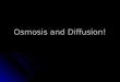 Osmosis and Diffusion!. IMPORTANT DEFINITIONS DIFFUSION : movement of particles from higher concentration to lower concentration DIFFUSION : movement