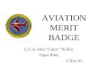 AVIATION MERIT BADGE Lt Col John “Gator” Wallin Viper Pilot 1 Nov 01