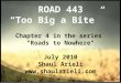 ROAD 443 “Too Big a Bite” Chapter 4 in the series "Roads to Nowhere" July 2010 Shaul Arieli 