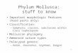 1 Phylum Mollusca: stuff to know Important morphologic features (hard parts only) Classification: –Subphyla; classes; subclasses within Class Cephalopoda