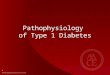 1 Pathophysiology of Type 1 Diabetes. 2 Type 1 Diabetes Mellitus Characterized by absolute insulin deficiency Pathophysiology and etiology –Result of