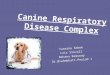 Canine Respiratory Disease Complex Yasmina Sebek Lois Stovall Rehana Ramroop Dr.Brahmbhatt-Period 1