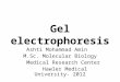Gel electrophoresis Ashti Mohammad Amin M.Sc. Molecular Biology Medical Research Center Hawler Medical University- 2012