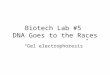 Biotech Lab #5 DNA Goes to the Races “Gel electrophoresis”