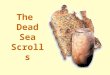 The Dead Sea Scrolls. What Are the Dead Sea Scrolls? Remains of over 800 ancient manuscripts Written in Hebrew, Aramaic, some Greek Dating 2 nd century