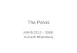 The Pelvis ANHB 2212 – 2008 Avinash Bharadwaj. Bony Pelvis Hip bones Sacrum Joints and ligaments