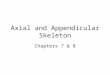 Axial and Appendicular Skeleton Chapters 7 & 8. Axial and Appendicular Skeleton The skeleton (greek=dried up body) has 206 bones. The axial skeleton is
