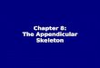 Chapter 8: The Appendicular Skeleton. The Appendicular Skeleton Figure 8–1