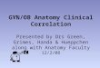 GYN/OB Anatomy Clinical Correlation Presented by Drs Green, Grimes, Handa & Hueppchen along with Anatomy Faculty 12/2/08