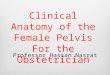 Clinical Anatomy of the Female Pelvis For the Obstetrician Professor Hassan Nasrat