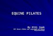 EQUINE PILATES By Etti Cook All these slides are copyright of Elite Physiotherapy
