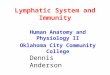 Lymphatic System and Immunity Human Anatomy and Physiology II Oklahoma City Community College Dennis Anderson