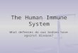 The Human Immune System What defenses do our bodies have against disease?