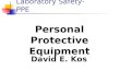 Laboratory Safety-PPE Personal Protective Equipment David E. Kos