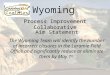 Wyoming Process Improvement Collaborative Aim Statement The Wyoming Team will identify the number of incorrect closures in the Laramie Field Office and