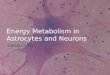 Energy Metabolism in Astrocytes and Neurons Yufeng Zhang