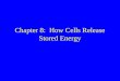 Chapter 8: How Cells Release Stored Energy. Overview of Carbohydrate Metabolism Glucose + 6 O 2  6 CO 2 + 6 H 2 O The overall reaction is exergonic