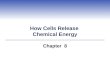 How Cells Release Chemical Energy Chapter 8. Cellular or Aerobic Respiration  Cellular respiration evolved to enable organisms to utilize energy stored
