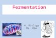 Fermentation H. Biology Ms. Kim. Fermentation Fermentation enables some cells to produce ATP without the use of oxygen (O2) Cellular respiration – Relies