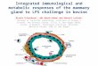 Integrated immunological and metabolic responses of the mammary gland to LPS challenge in bovine Nissim Silanikove 1*, Adi Rauch-Cohen 1 and Gabriel Leitner