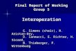 Final Report of Working Group 5 Interoperation G. Simons (chair), H. Aristar-Dry, D. Iannucci, E. Richter, H. Sicard, N. Thieberger, P. Wittenburg G. Simons