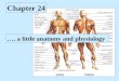 Chapter 24 …. a little anatomy and physiology. Levels of organization in the vertebrate body