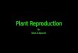 Plant Reproduction By: Kris D. & Alyssa M.. Vocabulary Ovule- Contains the female sex cells Pollen Grain- Contains the male sex cells Pollen Tube- Acts