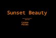 Cyrena D. Pulido Artist’s Statement Sunset Beauty I have done a couple different types of photography, this year I choose to do sunsets because I love
