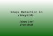 Grape Detection in Vineyards Ishay Levi Eran Brill