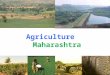 Agriculture Maharashtra. Land Utilisation Pattern Area fig. in “00’ ha