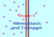 Chapter 5 Homeostasis and Transport. What part of a cell maintains it homeostasis? Cell Membrane is selectively permeable Regulates what goes in and out