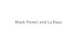 Black Power and La Raza. Framework 1966-1973: Radical wing of the black movement: From movement involving civil disobedience, nonviolence, black/white