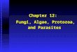 Chapter 12: Fungi, Algae, Protozoa, and Parasites Fungi, Algae, Protozoa, and Parasites