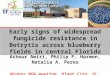Achour Amiri, Philip F. Harmon, Natalia A. Peres Winter BGA meeting, Plant City, FL, 02/20/14 Early signs of widespread fungicide resistance in Botrytis